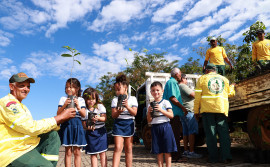 Governo do Tocantins distribui 2 mil mudas de espécies de plantas nativas do Cerrado em Palmas