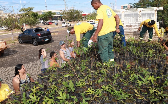 Governo do Tocantins distribui 2 mil mudas de espécies de plantas nativas do Cerrado em Palmas