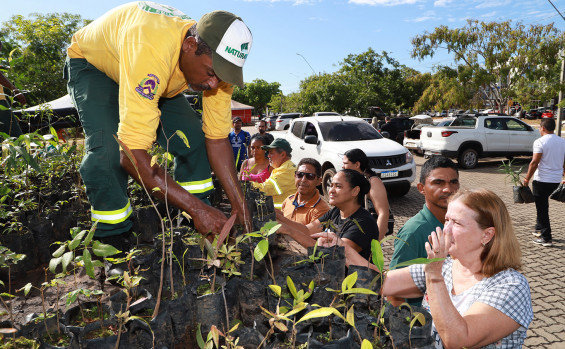 Governo do Tocantins distribui 2 mil mudas de espécies de plantas nativas do Cerrado em Palmas