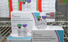 Governo do Tocantins recebe nova remessa de vacina contra a dengue e amplia municípios contemplados
