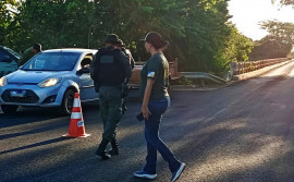 Naturatins apreende cerca de 200 kg de pescado e aplica mais de R$ 15 mil em multas
