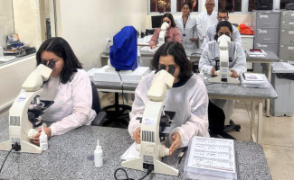 SES-TO oferta treinamento em diagnósticos para laboratórios municipais e prestadores de serviços