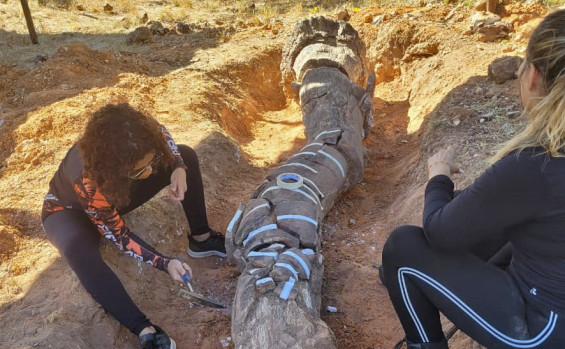 Pesquisa financiada pelo Governo do Tocantins, inicia mapeamento no Monumento Natural das Árvores Fossilizadas 