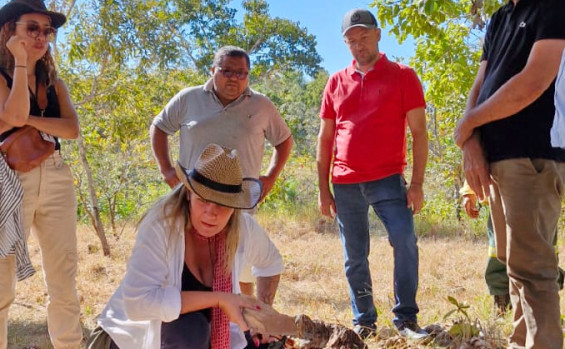 Pesquisa financiada pelo Governo do Tocantins, inicia mapeamento no Monumento Natural das Árvores Fossilizadas 