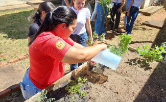 Casa de Apoio Glória Moraes recebe horta de plantas medicinais