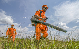 Governo do Tocantins firma Pacto Interfederativo para o Combate aos Incêndios no Pantanal e na Amazônia junto a outros nove estados e União