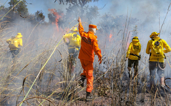 Governo do Tocantins firma Pacto Interfederativo para o Combate aos Incêndios no Pantanal e na Amazônia junto a outros nove estados e União