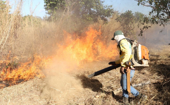 Governo do Tocantins firma Pacto Interfederativo para o Combate aos Incêndios no Pantanal e na Amazônia junto a outros nove estados e União