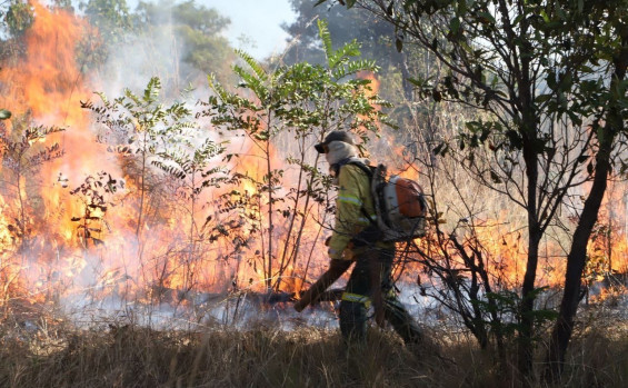 Governo do Tocantins firma Pacto Interfederativo para o Combate aos Incêndios no Pantanal e na Amazônia junto a outros nove estados e União