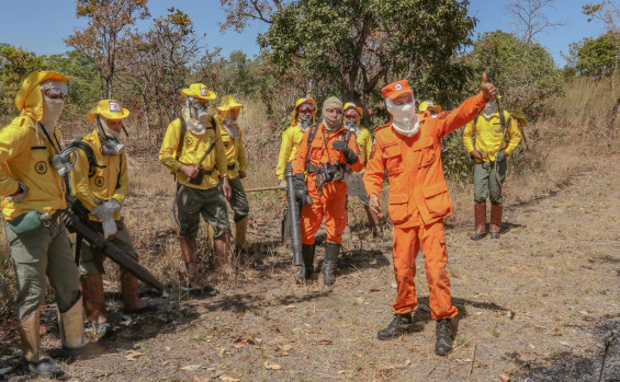 Governo do Tocantins firma Pacto Interfederativo para o Combate aos Incêndios no Pantanal e na Amazônia junto a outros nove estados e União