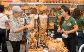 Governo do Tocantins divulga resultado definitivo da Fenearte