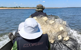 Naturatins conclui ações fiscalizatórias nas regiões centro-oeste e extremo norte do Estado