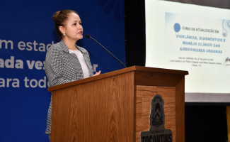 SES-TO realiza capacitação para diagnóstico e manejo clínico das arboviroses com os municípios da Macrorregião Centro Sul