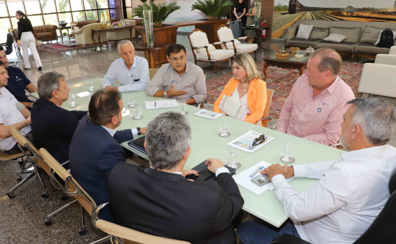 Governador em exercício recebe empresários interessados em operar na hidrovia Tocantins-Araguaia