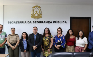 SSP-TO recebe equipe técnica do Ministério dos Direitos Humanos e da Cidadania