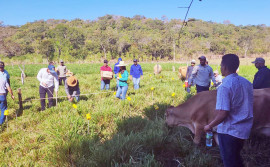 Com apoio do Governo do Tocantins, assistentes de produtores rurais recebem curso de manejo da irrigação e tratamento de dados para o uso sustentável dos recursos hídricos

