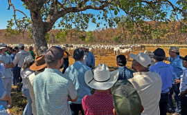 Governo do Tocantins encerra “Rota da Pecuária” com apresentação do Plano de Agricultura de Baixa Emissão de Carbono
