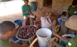 Parceria entre Governo do Tocantins e Instituto Meio garante R$ 5,7 milhões em inclusão produtiva