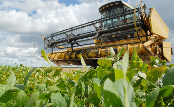 Governo do Tocantins garante desenvolvimento na defesa agropecuária com investimentos de mais de R$ 4,7 milhões 