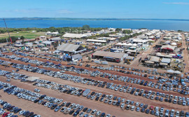 Ações do Governo do Tocantins em 2024 ampliam potencial econômico da agricultura e pecuária no Estado