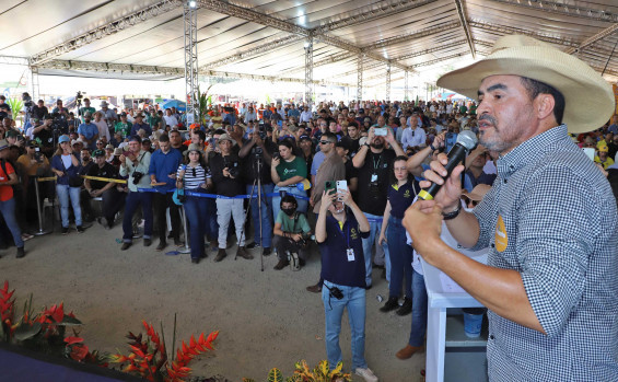 Ações do Governo do Tocantins em 2024 ampliam potencial econômico da agricultura e pecuária no Estado