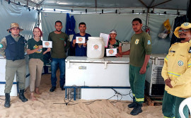 Durante temporada de praia, Naturatins promove campanha para coleta de óleo de cozinha usado