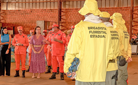 Governo do Tocantins investe mais de R$ 16,5 milhões em estruturação da gestão ambiental do Estado 