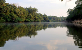 Governo do Tocantins celebra 26 anos do Parque Estadual do Cantão com programação neste domingo, 14