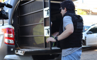 Mulher apontada como autora de homicídio de jovem no Distrito de Buritirana é presa pela Polícia Civil em Palmas