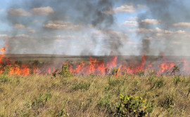 Governo do Tocantins suspende a emissão e a vigência das autorizações de queima controlada em todo o Tocantins