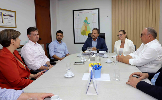 Governo do Tocantins recebe representante do Mapa para discutir implantação de projeto inovador para cadeias produtivas