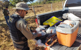 Naturatins apreende mais de 40 kg de pescado e aplica mais de R$ 2 mil em multas

