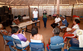 Governo do Tocantins segue com oficinas sobre Política Estadual do Uso Sustentável do Capim-Dourado e do Buriti