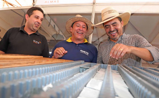 Governo do Tocantins assina acordos e garante avanços no setor de mineração