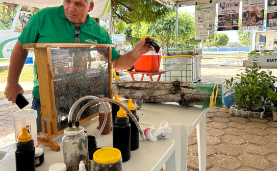 Governo do Tocantins apresenta tecnologia de produção de abelhas na Feira da Colheita em Sampaio