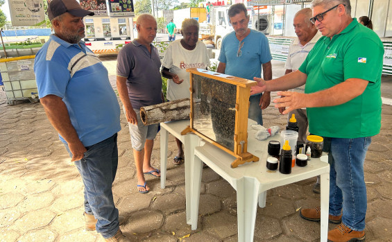 Governo do Tocantins apresenta tecnologia de produção de abelhas na Feira da Colheita em Sampaio