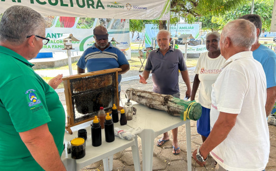 Governo do Tocantins apresenta tecnologia de produção de abelhas na Feira da Colheita em Sampaio