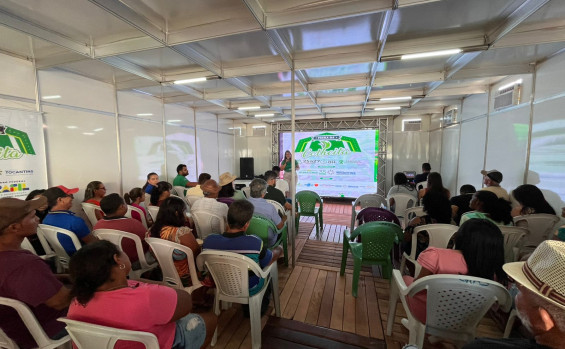 Governo do Tocantins apresenta tecnologia de produção de abelhas na Feira da Colheita em Sampaio