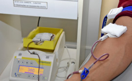 SES-TO divulga agenda de coletas externas e programadas da Hemorrede para o mês de agosto
