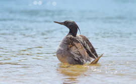 APA do Jalapão celebra 24 anos de proteção e sustentabilidade