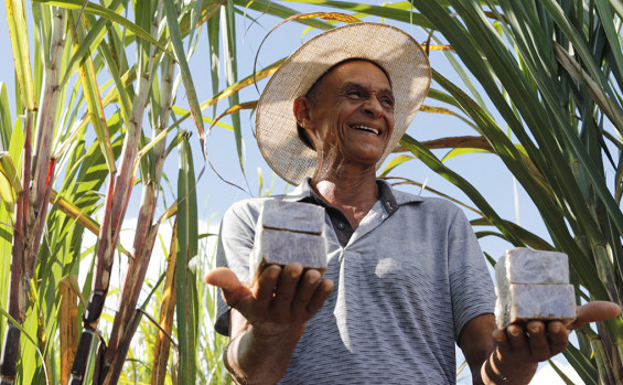 APA do Jalapão celebra 24 anos de proteção e sustentabilidade