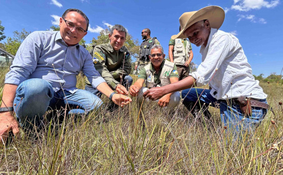 Governo do Tocantins inicia ações fiscalizatórias da Operação Capim-Dourado no Jalapão