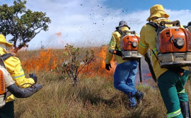 Naturatins combate incêndio florestal na APA Serra do Lajeado