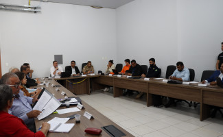Membros do Conselho de Segurança Pública do Tocantins aprovam redação do Plano Estadual de Segurança Pública e Defesa Social em reunião extraordinária 