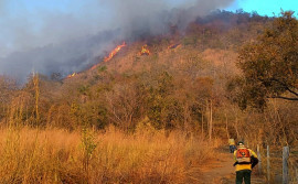 Brigadistas do Naturatins combatem incêndio florestal na APA Serra do Lajeado