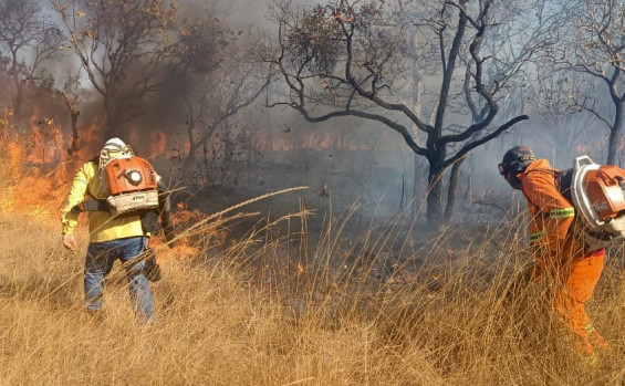 Brigadistas do Naturatins combatem incêndio florestal na APA Serra do Lajeado