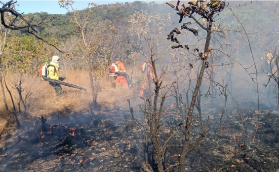 Brigadistas do Naturatins combatem incêndio florestal na APA Serra do Lajeado