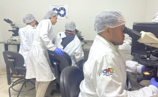 SES-TO capacita profissionais de laboratórios para o diagnóstico de Malária e Doença de Chagas