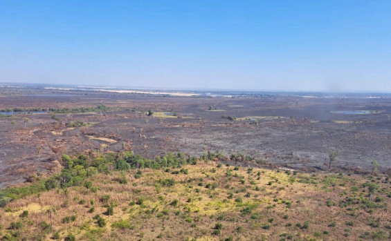 Governo do Tocantins mobiliza força-tarefa para combater incêndio florestal no Parque Estadual do Cantão 