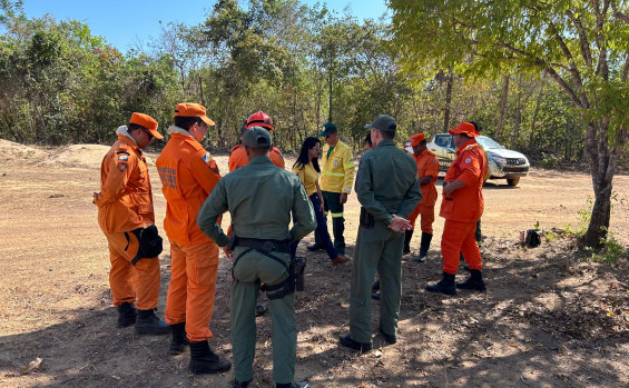 Governo do Tocantins mobiliza força-tarefa para combater incêndio florestal no Parque Estadual do Cantão 